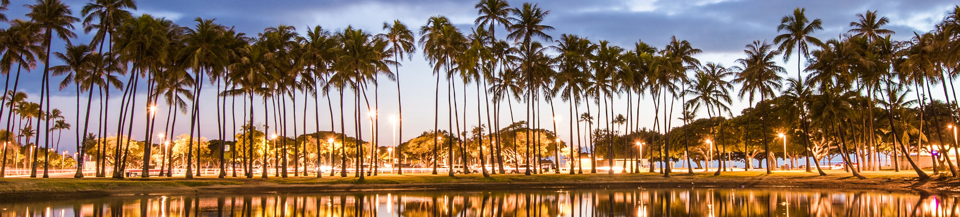 Hawaii Palm Trees