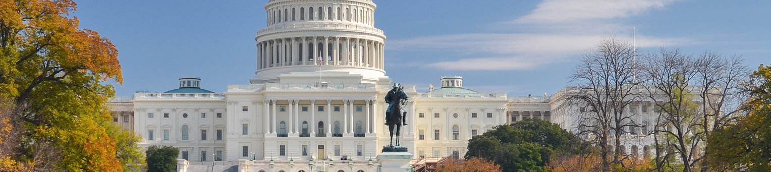 United States Capitol - Washington DC